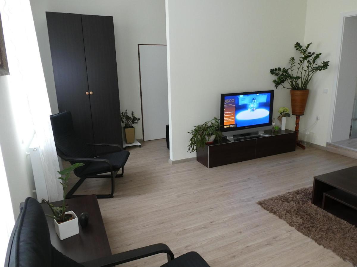 Apartman Marenka ノヴェー・ムニェスト・ナ・モラヴィエ エクステリア 写真
