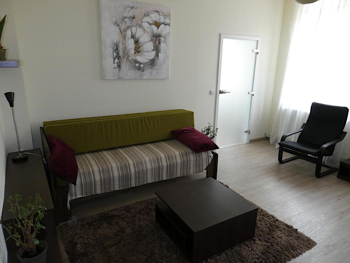 Apartman Marenka ノヴェー・ムニェスト・ナ・モラヴィエ エクステリア 写真